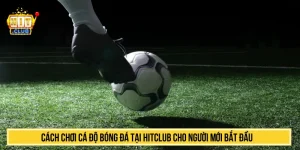 Cách Chơi Cá Độ Bóng Đá Tại HITCLUB Cho Người Mới Bắt Đầu