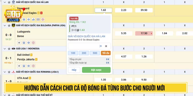 Hướng dẫn cách chơi cá độ bóng đá từng bước cho người mới