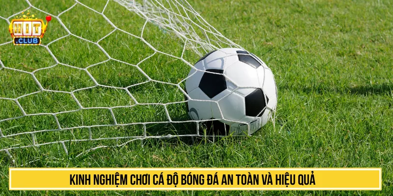 Kinh nghiệm chơi cá độ bóng đá an toàn và hiệu quả